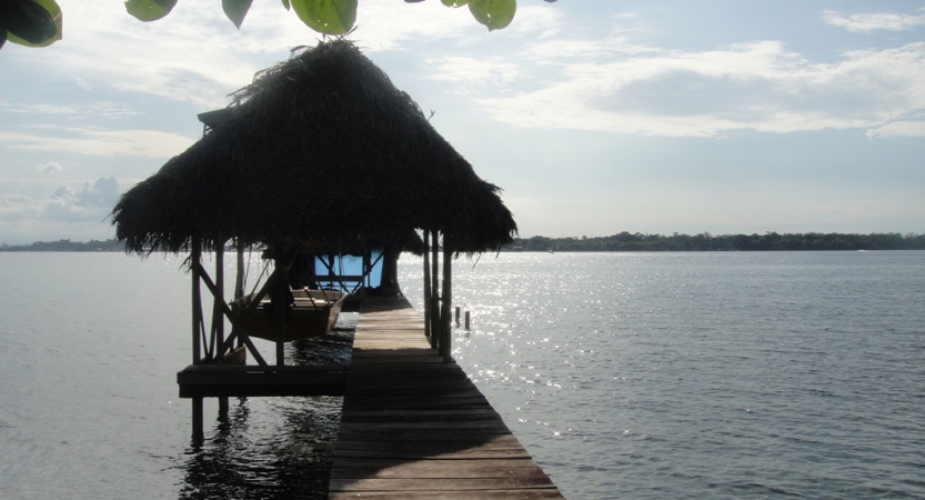 A wooden dock with a thatch roof juts out into the water. 